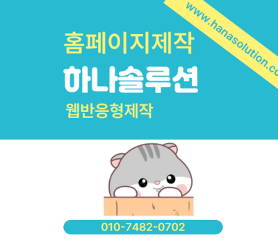 기획부터 마케팅까지, 대전 홈페이지제작 전문 하나솔루션